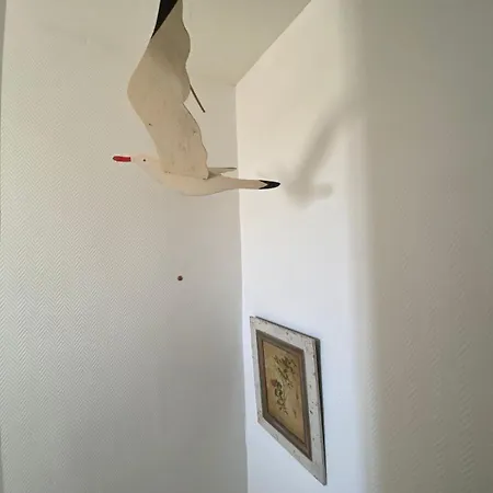 Hébergement de vacances La Bohème Atlantique, Proche Du Port La Tremblade